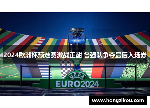 2024欧洲杯预选赛激战正酣 各强队争夺最后入场券